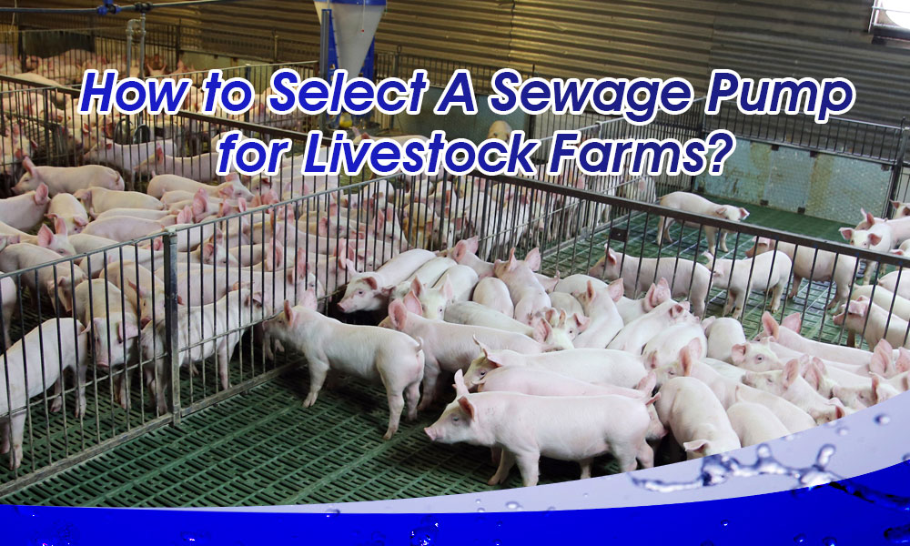 How to Choose the Right Sewage Pump for Livestock Farms？
