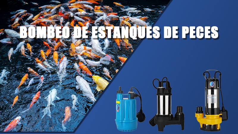 Las mejores soluciones de bombas para aplicaciones domésticas, industriales y comerciales