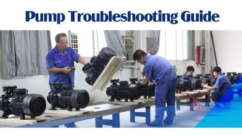 Guía de solución de problemas de la bomba: Ruido anormal