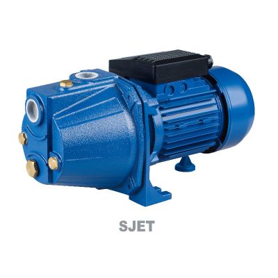 Affordable Basic Self-Suction Pump