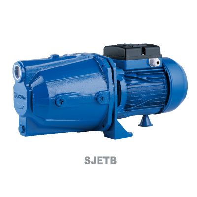 Affordable Basic Self-Suction Pump