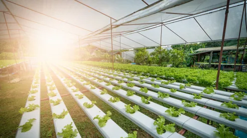 Solución de bombeo para cultivo hidropónico