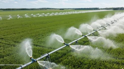 Cómo las bombas multietapa verticales mejoran los sistemas de riego agrícola