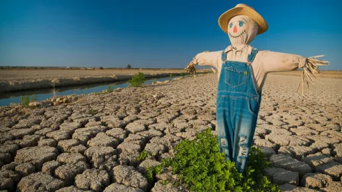 Cómo las bombas de agua apoyan proyectos agrícolas a gran escala en regiones áridas