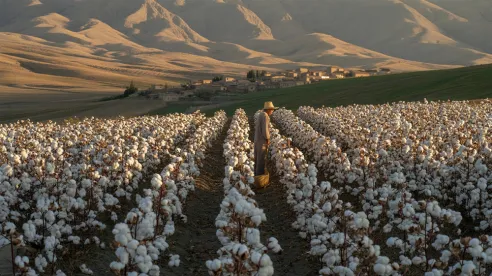 Comprensión del riego agrícola en Azerbaiyán: desafíos, regiones y soluciones de bombeo