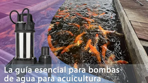 La guía esencial para bombas de agua para acuicultura