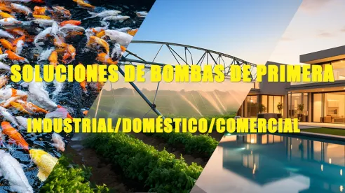 Las mejores soluciones de bombas para aplicaciones domésticas, industriales y comerciales