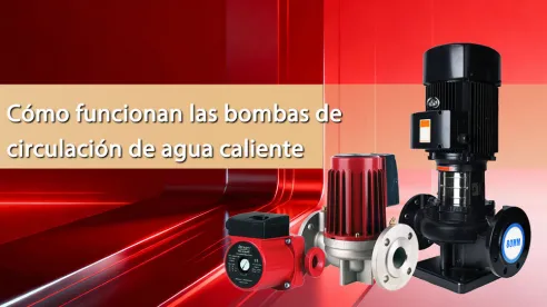 Cómo funcionan las bombas de circulación de agua caliente